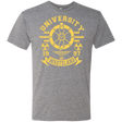 T-Shirts Premium Heather / Small University of Wasteland Men's Triblend T-Shirt