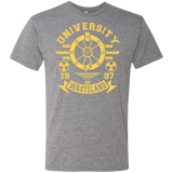 T-Shirts Premium Heather / Small University of Wasteland Men's Triblend T-Shirt
