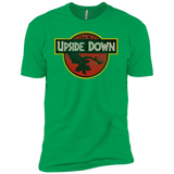 T-Shirts Kelly Green / YXS Upside Down Boys Premium T-Shirt