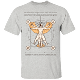 T-Shirts Ash / Small Vitruvian Aang T-Shirt