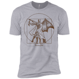 T-Shirts Heather Grey / X-Small Vitruvian Bats Men's Premium T-Shirt
