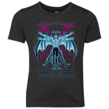 Vitruvian Devil Youth Triblend T-Shirt