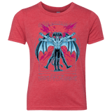 Vitruvian Devil Youth Triblend T-Shirt