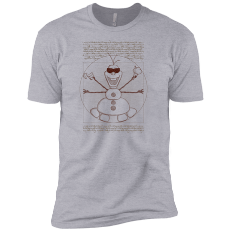 T-Shirts Heather Grey / YXS Vitruvian Summer Boys Premium T-Shirt