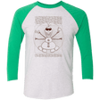 T-Shirts Heather White/Envy / X-Small Vitruvian Summer Men's Triblend 3/4 Sleeve