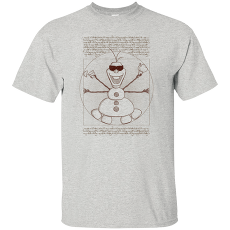 T-Shirts Ash / Small Vitruvian Summer T-Shirt