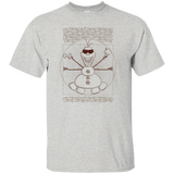 T-Shirts Ash / Small Vitruvian Summer T-Shirt