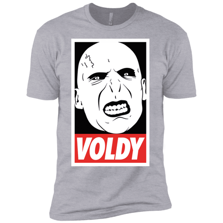 T-Shirts Heather Grey / YXS Voldy Boys Premium T-Shirt