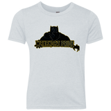 T-Shirts Heather White / YXS Wakandas Pride Youth Triblend T-Shirt