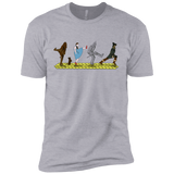 T-Shirts Heather Grey / YXS Walk to Oz Boys Premium T-Shirt