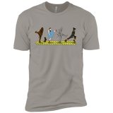 T-Shirts Light Grey / YXS Walk to Oz Boys Premium T-Shirt