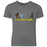 T-Shirts Premium Heather / YXS Walk to Oz Youth Triblend T-Shirt