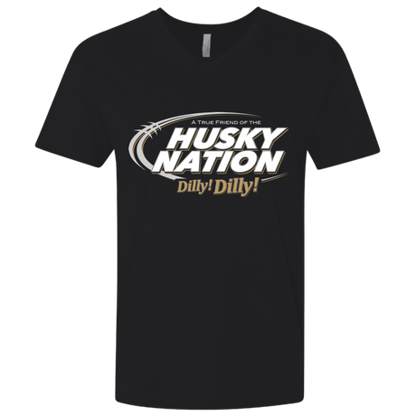 T-Shirts Black / X-Small Washington Dilly Dilly Men's Premium V-Neck