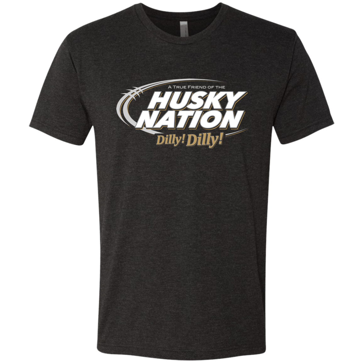 T-Shirts Vintage Black / Small Washington Dilly Dilly Men's Triblend T-Shirt