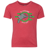 T-Shirts Vintage Red / YXS Wasteland Mystery Youth Triblend T-Shirt
