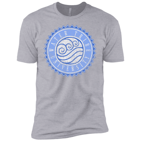 T-Shirts Heather Grey / YXS Water tribe university Boys Premium T-Shirt