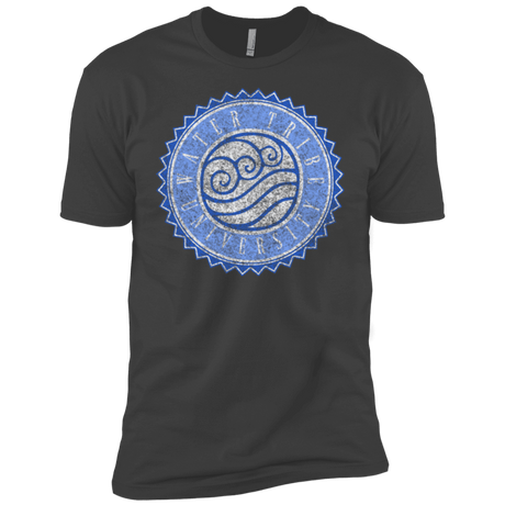 T-Shirts Heavy Metal / YXS Water tribe university Boys Premium T-Shirt