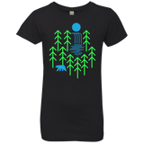 T-Shirts Black / YXS Waterfall Lake Girls Premium T-Shirt