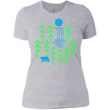 T-Shirts Heather Grey / X-Small Waterfall Lake Women's Premium T-Shirt