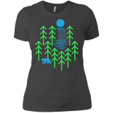 T-Shirts Heavy Metal / X-Small Waterfall Lake Women's Premium T-Shirt