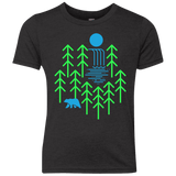 Waterfall Lake Youth Triblend T-Shirt