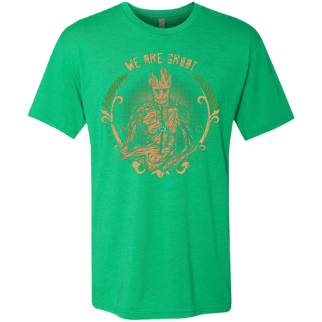 T-Shirts Envy / Small We are Groot Men's Triblend T-Shirt