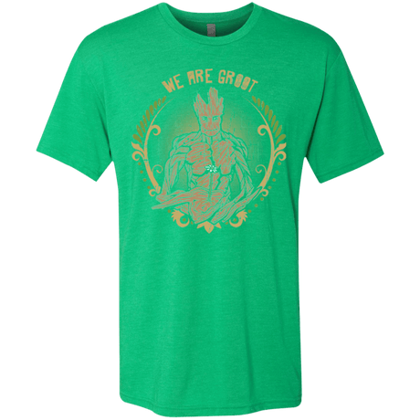 T-Shirts Envy / Small We are Groot Men's Triblend T-Shirt
