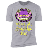 T-Shirts Heather Grey / YXS We're all starving Boys Premium T-Shirt