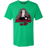 T-Shirts Envy / S Wednesday The 13th Men's Triblend T-Shirt