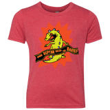 When Reptar Ruled The Babies Youth Triblend T-Shirt