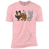 T-Shirts Light Pink / YXS Where the Friends Things Are Boys Premium T-Shirt