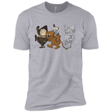 T-Shirts Heather Grey / X-Small Where the Friends Things Are Men's Premium T-Shirt