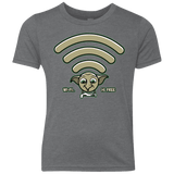 Wi-fi is Free Youth Triblend T-Shirt