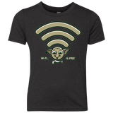 Wi-fi is Free Youth Triblend T-Shirt
