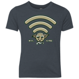 Wi-fi is Free Youth Triblend T-Shirt