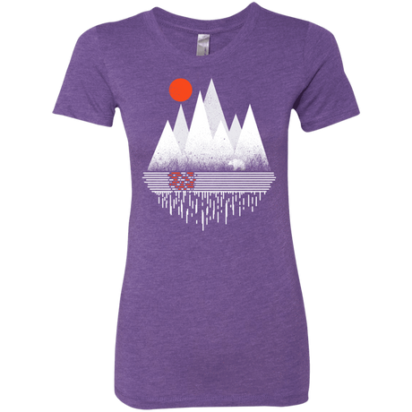 T-Shirts Purple Rush / S Wild Bear Women's Triblend T-Shirt
