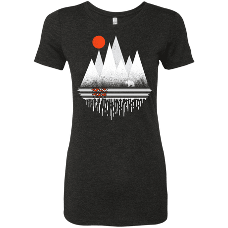 T-Shirts Vintage Black / S Wild Bear Women's Triblend T-Shirt