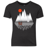 Wild Bear Youth Triblend T-Shirt