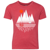 Wild Bear Youth Triblend T-Shirt