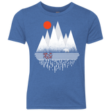 Wild Bear Youth Triblend T-Shirt