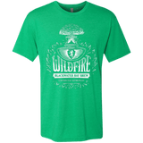 T-Shirts Envy / Small Wildfire Men's Triblend T-Shirt