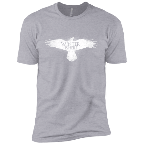 T-Shirts Heather Grey / YXS Winter is here Boys Premium T-Shirt