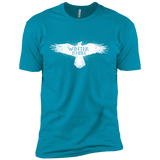 T-Shirts Turquoise / YXS Winter is here Boys Premium T-Shirt