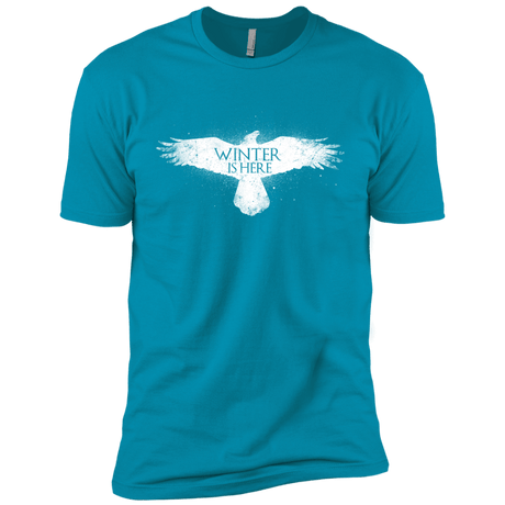 T-Shirts Turquoise / YXS Winter is here Boys Premium T-Shirt