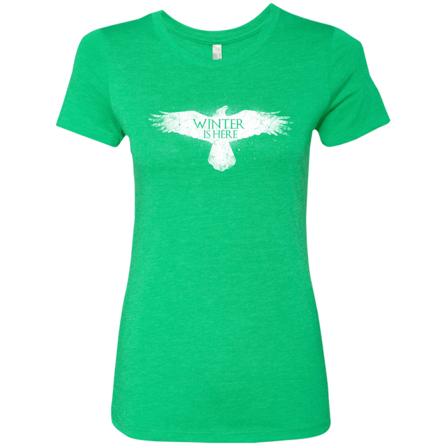 T-Shirts Envy / Small Winter is here Women's Triblend T-Shirt
