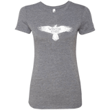 T-Shirts Premium Heather / Small Winter is here Women's Triblend T-Shirt