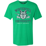 T-Shirts Envy / Small Winterfell U Men's Triblend T-Shirt