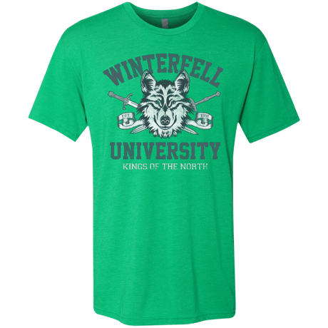 T-Shirts Envy / Small Winterfell U Men's Triblend T-Shirt