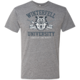 T-Shirts Premium Heather / Small Winterfell U Men's Triblend T-Shirt