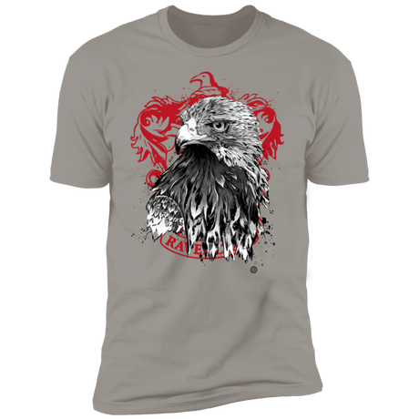 T-Shirts Light Grey / S Wit and Wisdom sumi-e Men's Premium T-Shirt